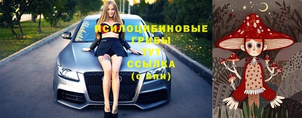 гидропоника Верея