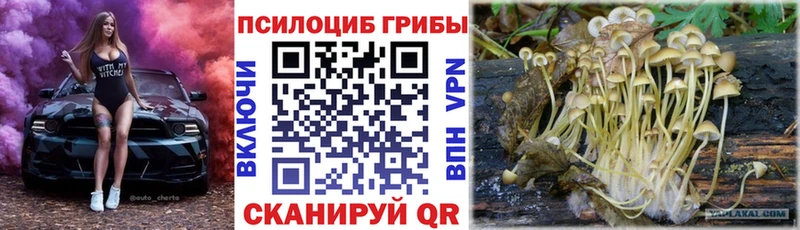 Псилоцибиновые грибы Magic Shrooms  hydra вход  Вольск 