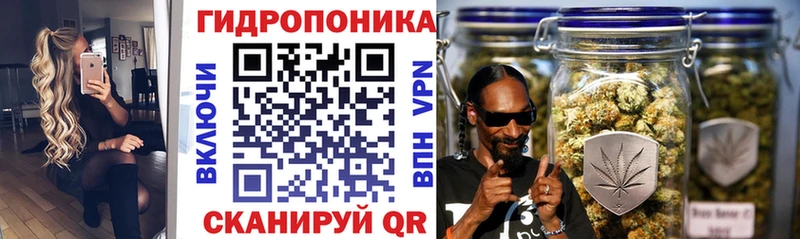 закладка  Вольск  Шишки марихуана гибрид 